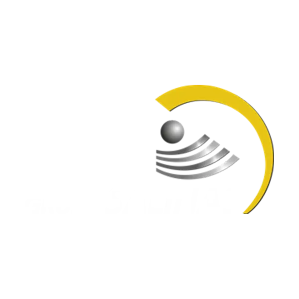 aliado-grupo-salinas.webp